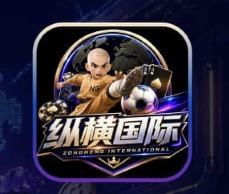 纵横国际